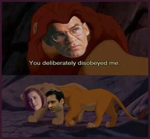 xfiles__fan's tweet photo. https://t.co/wkl2VnZ6uR
