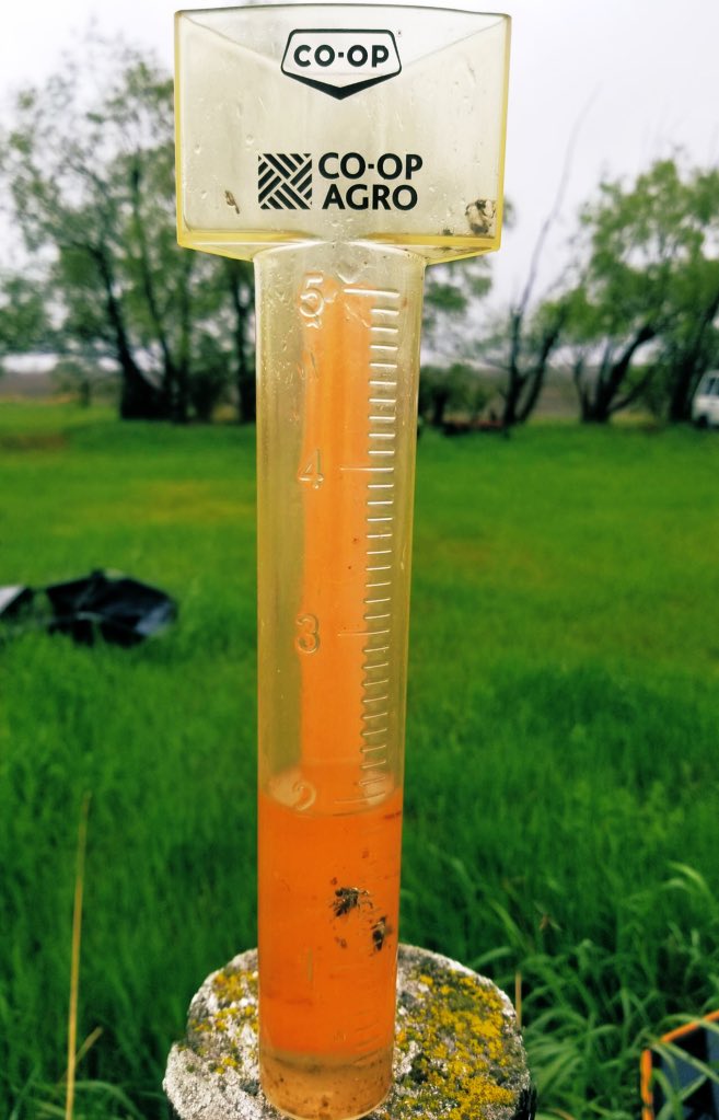 Happy to see some good moisture around! What’s your rain gauge say? #growgrowgrow #plant20