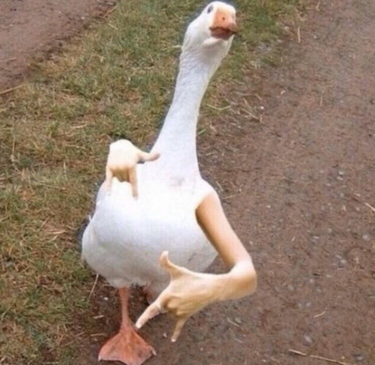 Bien ou qu'oie, t'habites dans l'coin ou qu'oie