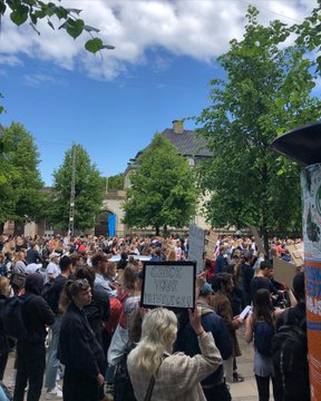 Zobacz obraz na Twitterze