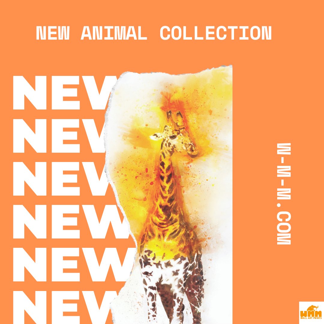 If you love animals, check out our animal art collection. w-m-m.com/collections/an… 
🦁🐶🐯🐵🦒🐅🦓🐘🐆
#animalart #wildlifeart #homeart #giraffesofinstagram #giraffe #giraffes #homesweethome #childrensroomdecor #nurseryideas #nurserydecor #animalgifts #woollymammothmedia