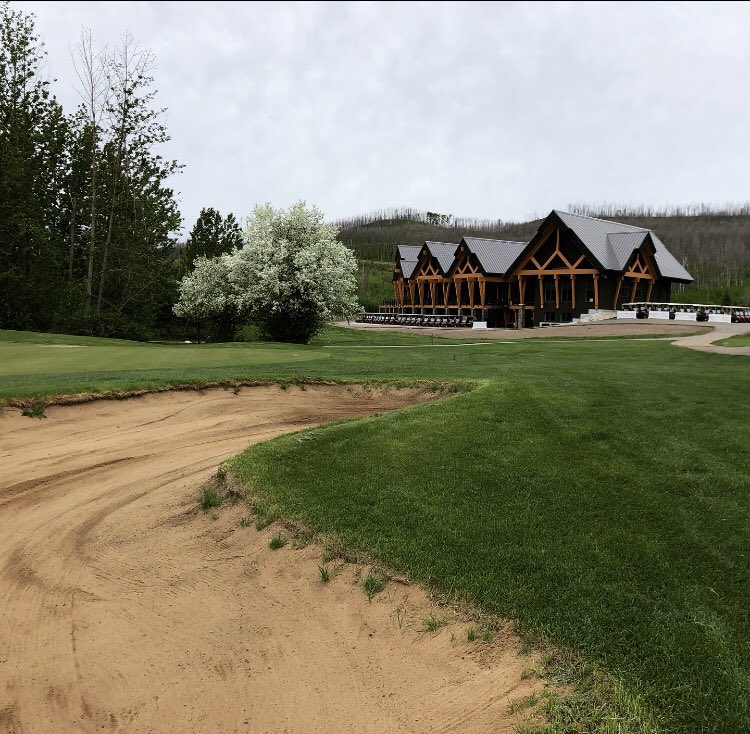 Love driving through the course and seeing all the trees blooming!