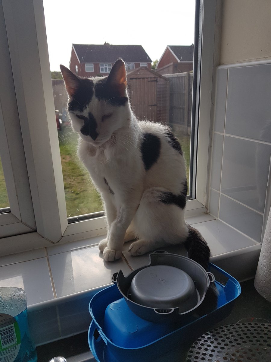 I is here with my bald arm and my bald neck tank mew for your kindness u is all so kind and u makes me happy