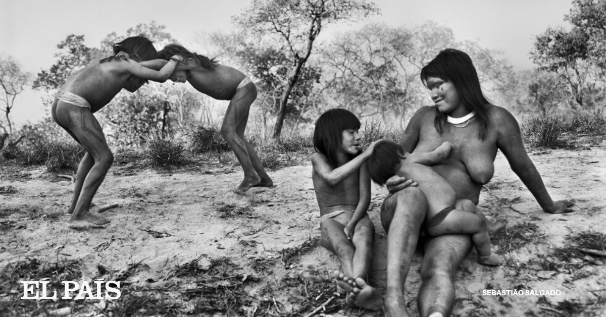 elpais_america's tweet photo. A las amenazas que acechan el modo de vida, cultura y hábitat de los pueblos indígenas de Brasil se suma ahora una nueva: la covid-19. El fotógrafo Sebastião Salgado  lanza un grito de alerta ante el avance de la covid-19 en la Amazonia brasileña https://t.co/A0I0qa2E8n https://t.co/czOT6tq6mg