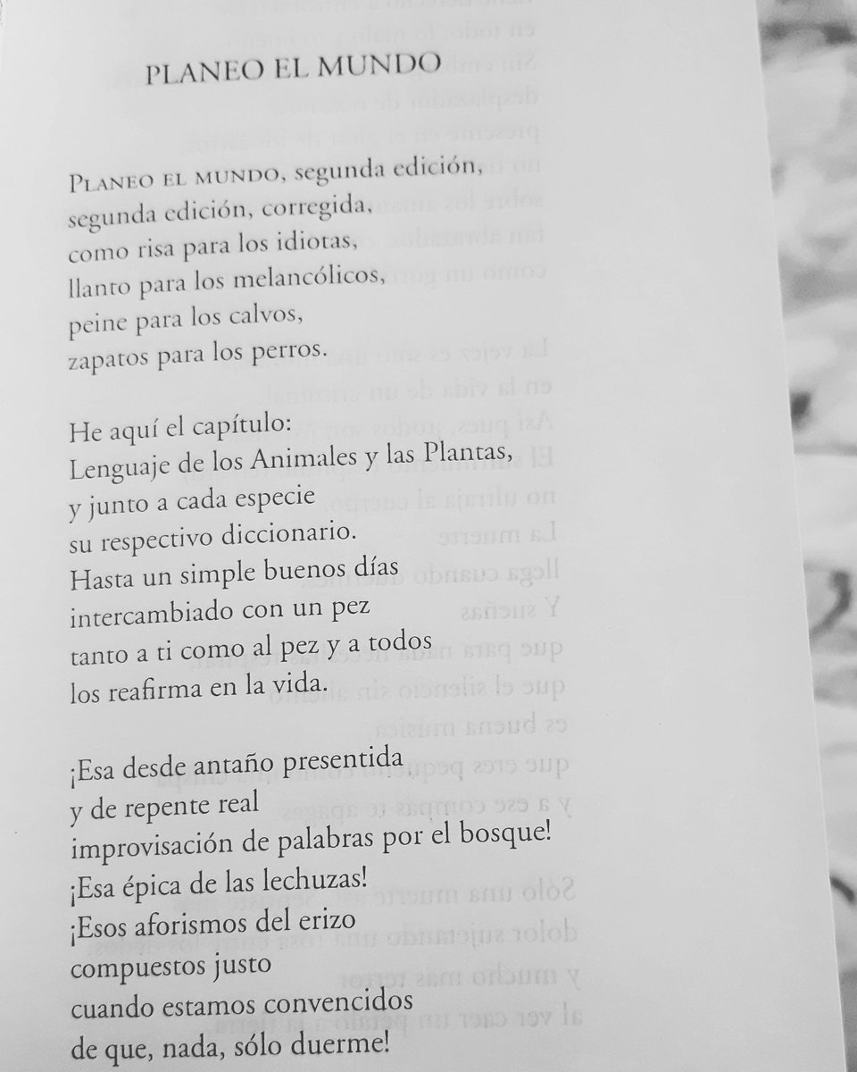 JamletInculto's tweet photo. Fragmento del poema de Wislawa Szymborska https://t.co/erUMKiOIDR