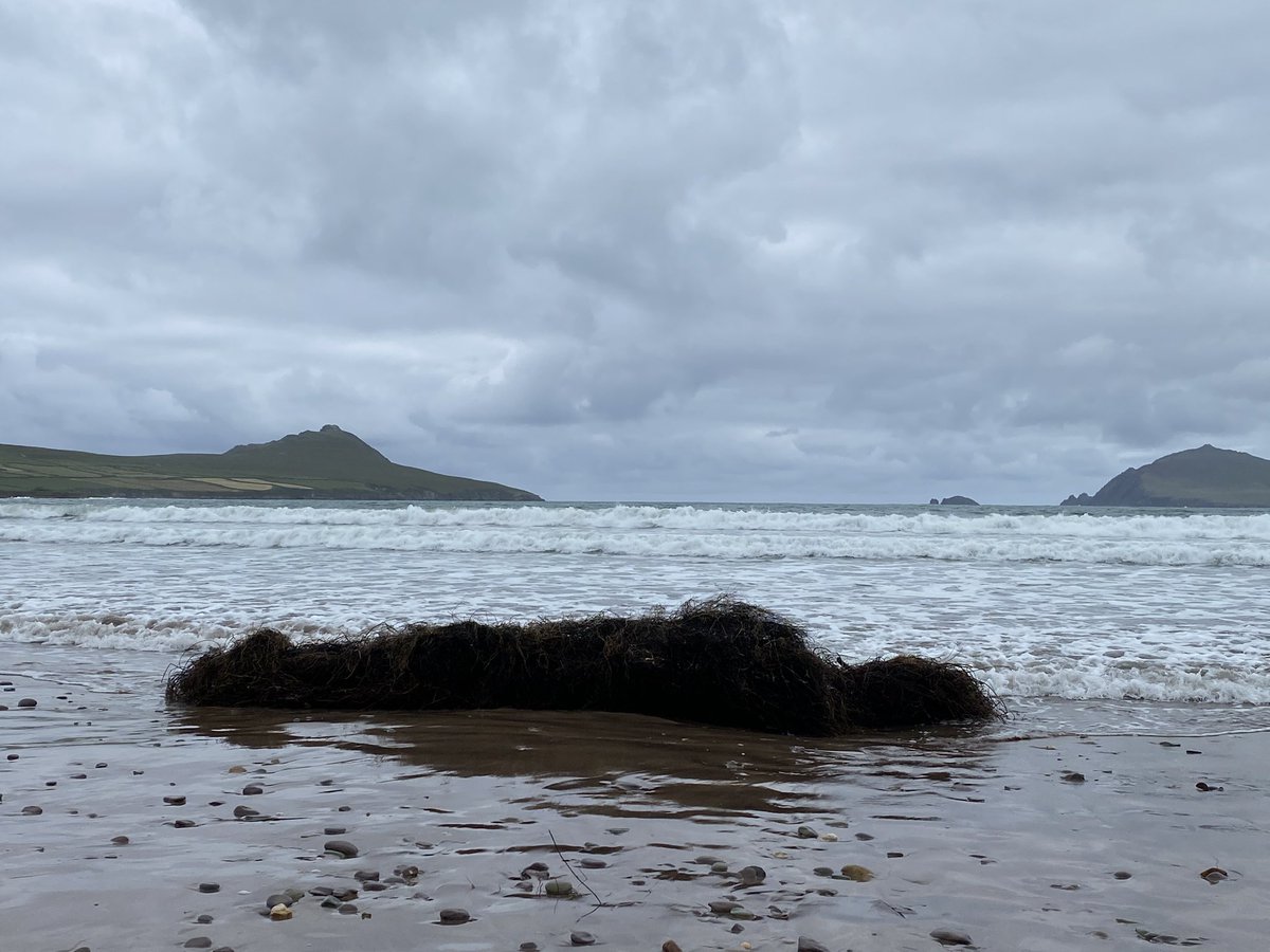 #BREAKING An fear marbh aistrithe soir go Béal Bán. #Ciarraí #CorcaDhuibhne