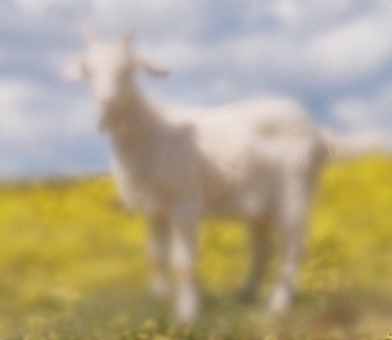 Happy Birthday to the Goat, Dave Filoni! 