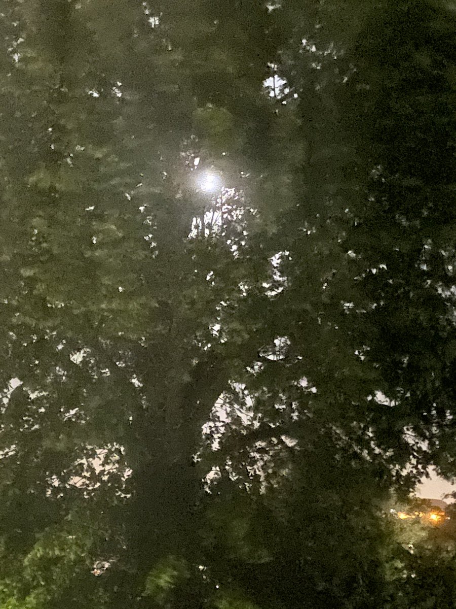 2/7 I have been challenged by <a href="/pvfc_carol/">Carol Shanahan</a> to produce a picture a day for 7 days to illustrate my current life (no caption, no people). Nominate a person a day. 

I nominate <a href="/JohnHayesHere/">John Hayes</a>