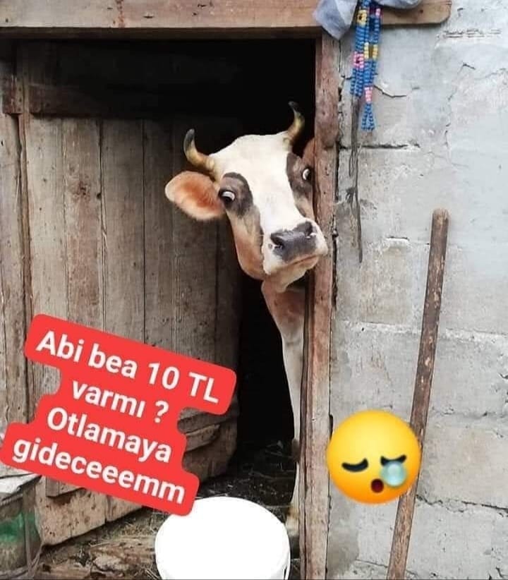 ayse (@hapyrosy) on Twitter photo #BirAkPartiHizmetiYaz
hayırlı azarlar demişmiydik ..?
Halit Ergenç
#HDPhalkıylaYürüyor
#YksLgsRiskiniDuyur
Mihriban
Canan Kaftancıoğlu
Fatma Girik
Dekolteye 870Yıl
İzmir
Engin Altan Düzyatan
#BirAkPartiHizmetiYaz #BirAkPartiHizmetiYaz
hayırlı azarlar demişmiydik ..?
Halit Ergenç
#HDPhalkıylaYürüyor
#YksLgsRiskiniDuyur
Mihriban
Canan Kaftancıoğlu
Fatma Girik
Dekolteye 870Yıl
İzmir
Engin Altan Düzyatan
#BirAkPartiHizmetiYaz