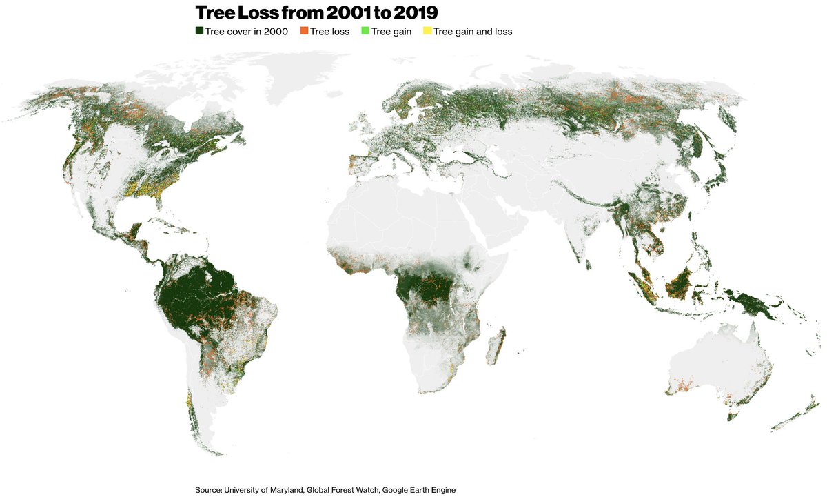 climate's tweet photo. The world is losing its forests https://t.co/iVjEp1n8b6 https://t.co/th3cfzMZxI