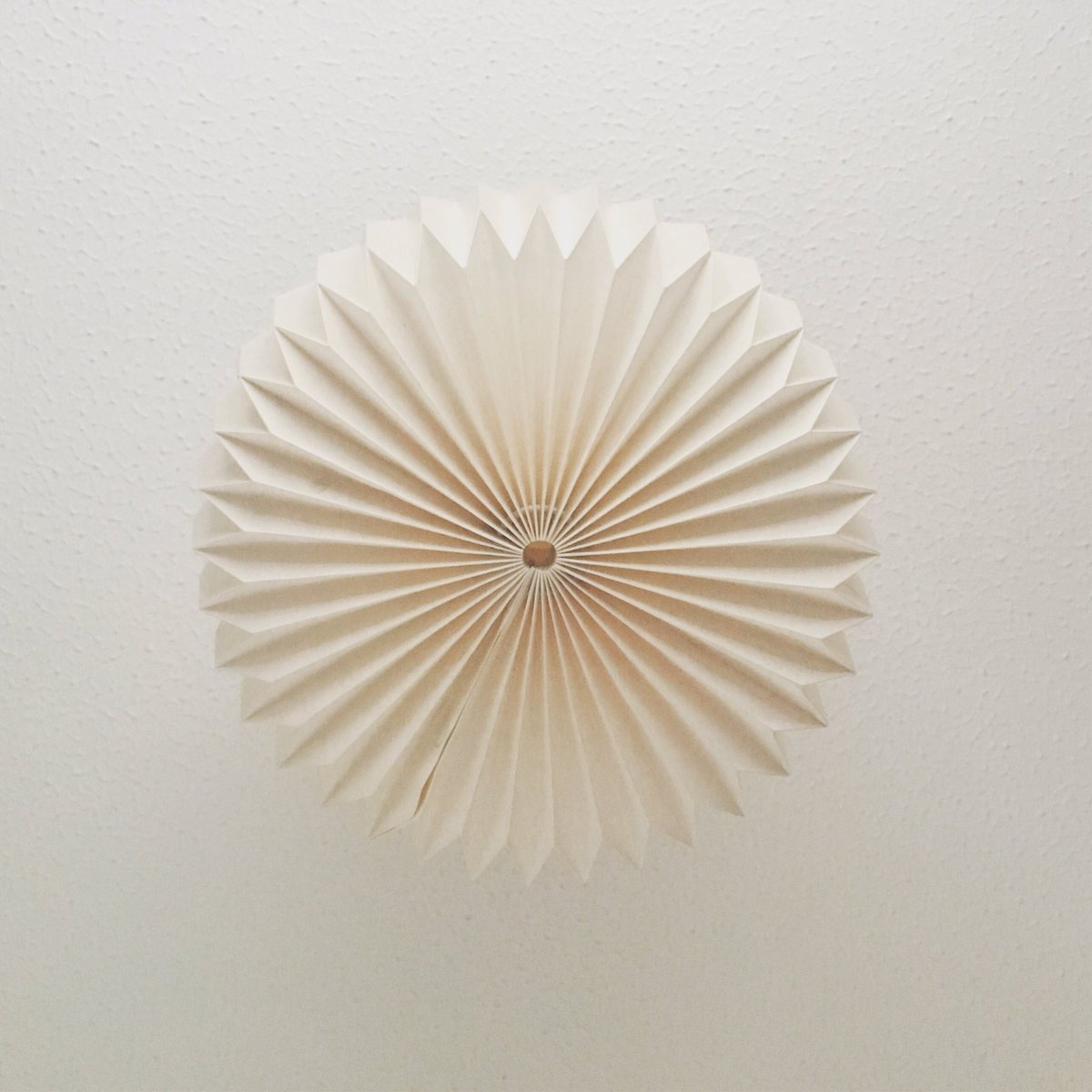 maria_mant tweet media