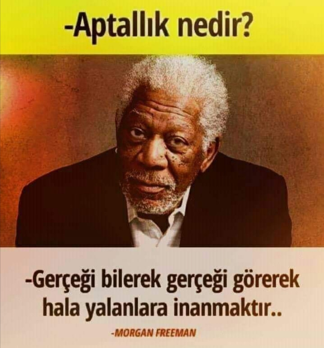 Aptallık nedir ?