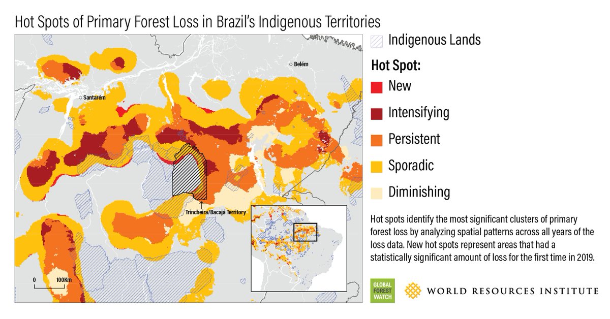 Global Forest Watch tweet media