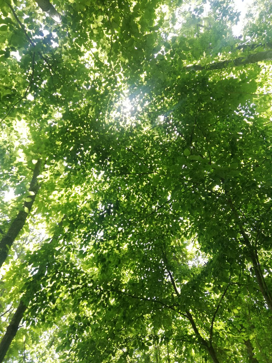 green Sunday 💚💚