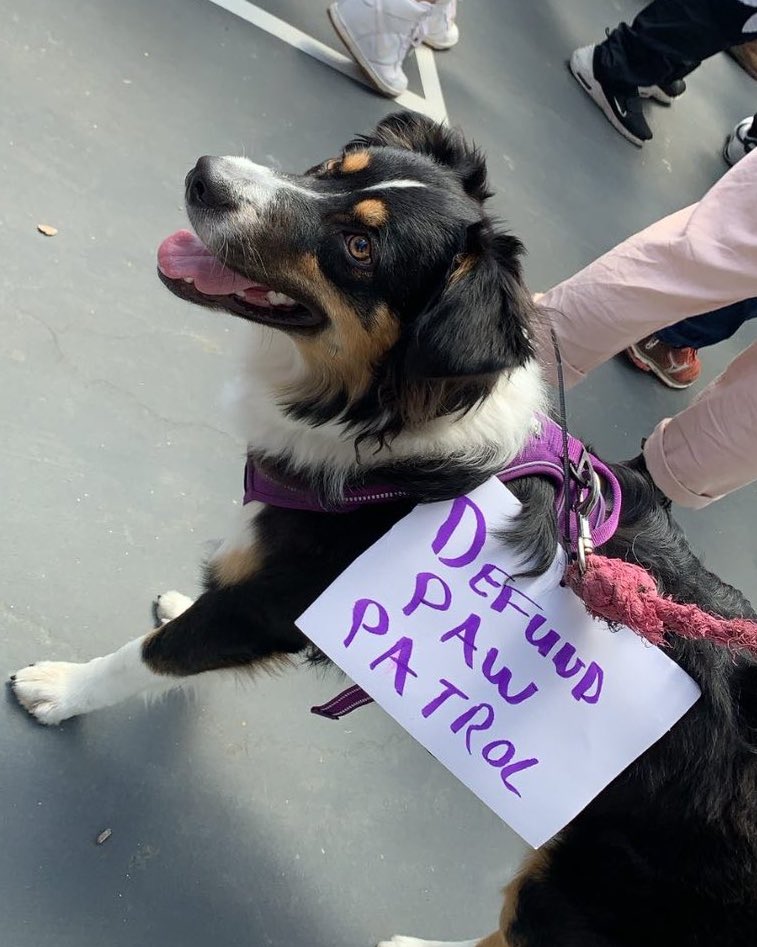 thread of very good dogs protesting for justice