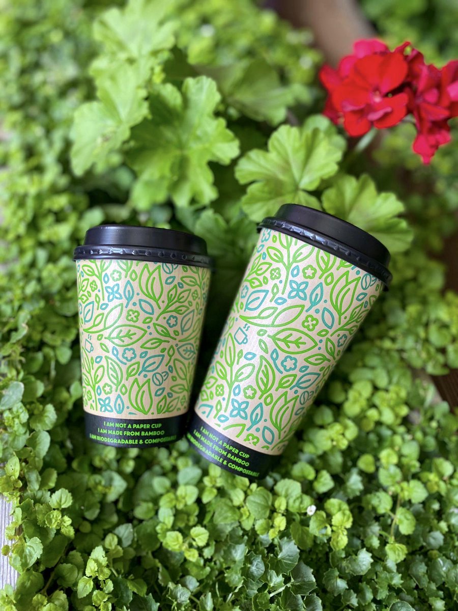 knobblycob's tweet photo. All new compostable coffee cups. Green, ethical, compostable. @ILoveGlosUK @savegloucester @SavetheWorldBB @its_strad @GlosCoffee @BBCGlos @GlosCathedral @glosinfo @GloucesterQuays @VisitGloucester  @HeartGlos https://t.co/Dcof7exGFw