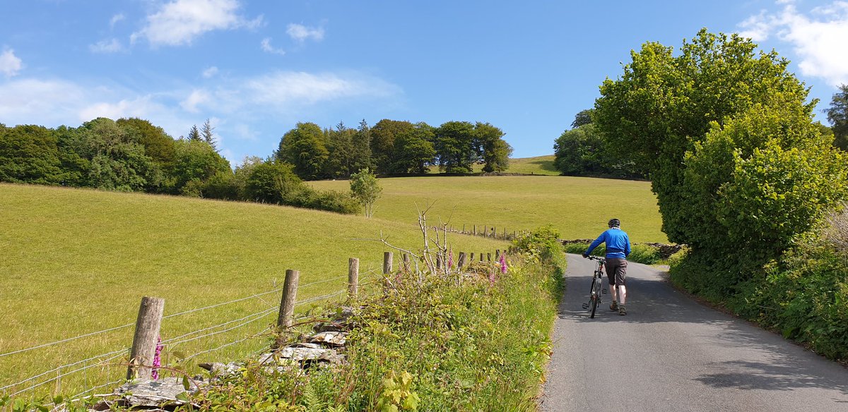 CumbrianRambler tweet picture