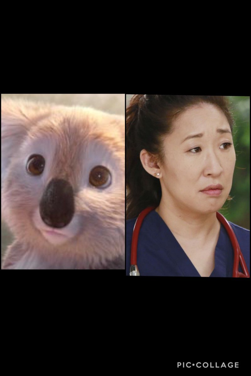 DeltaDelaney's tweet image. Eve always makes me think of cute #cushelle Kenny koala #SandraOh #KillingEve