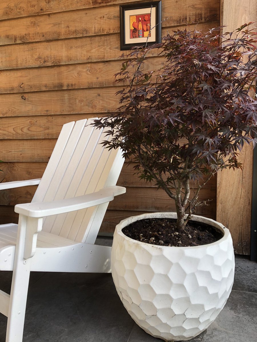 nardkronenberg's tweet image. #mylifeinpictures Day 7/7 no words. I nominate @SandraBeuving1