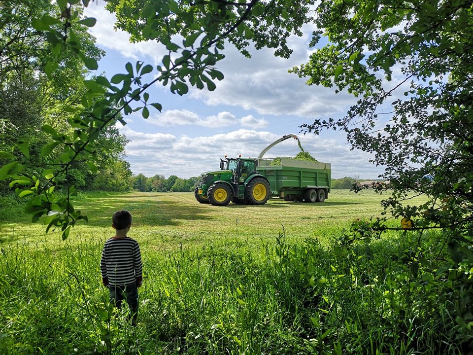 ecosyl_'s tweet photo. Never too young to start learning about silage (or to be casting a critical eye!)
📸 thanks to Alison Griggs on FB
#YoungFarmers #YoungBritishFarmers #SilageMaking #GrowMoreMilk #BritishFarming #BritishAgriculture #MakeBetterSilage #ConsistentlyBetterSilage #Silage2020 https://t.co/VZijpNSOm6