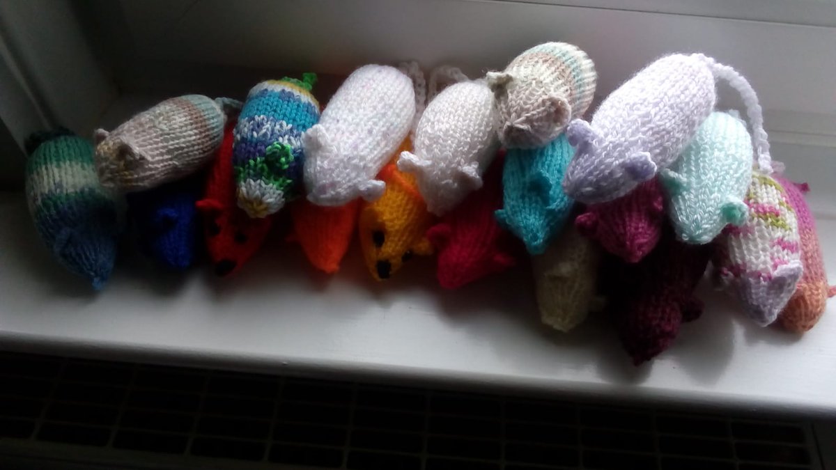 I have definately been out-done by my mums knitting skills. I only sent her the pattern on Wednesday and she already created a colony of mice <a href="/NewtongrangePS/">NewtongrangePS</a> #mindfulmice