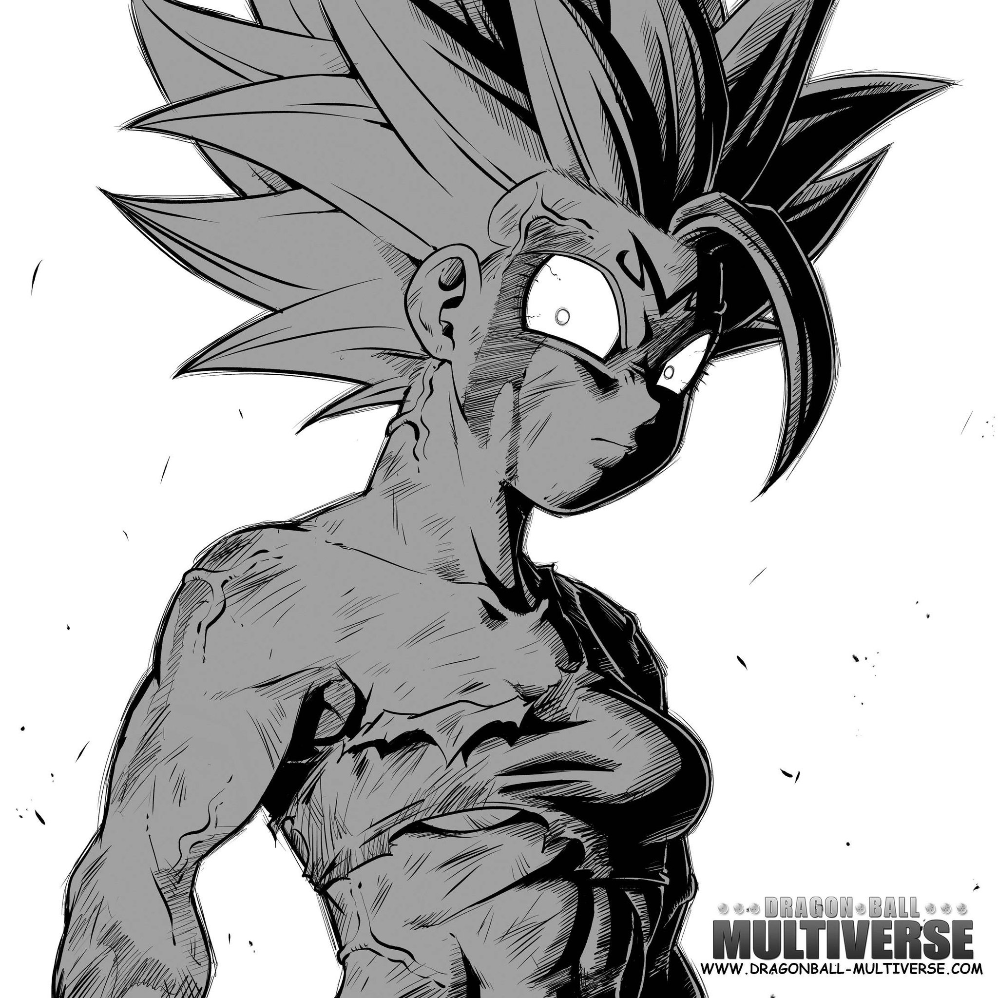 DB MULTIVERSE BRA, webcomic, [BC]J-K_FIN