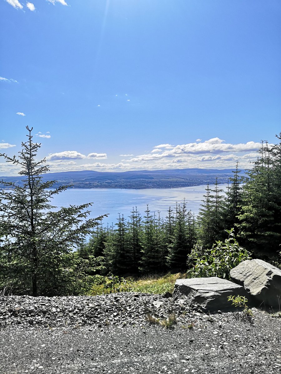Fificampbell2's tweet photo. Will never get tired of these views #Argyll #Dunoon #forestryroads @wildaboutargyll @WildArgyll https://t.co/qDEO2FWzmM