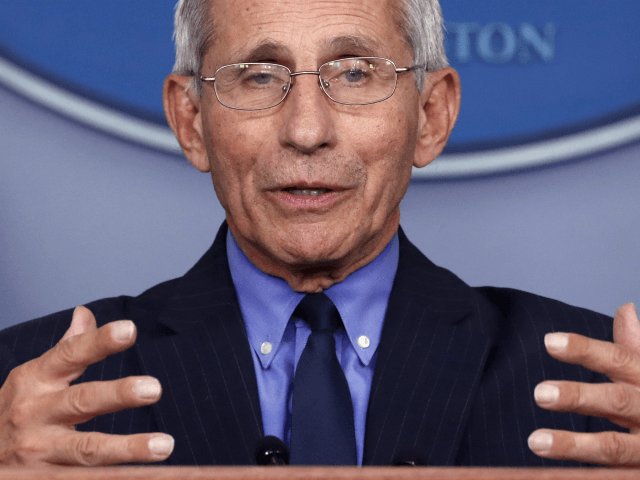 This man cost the US Economy $5 trillion dollars, more than all of WW2, in 2 months. 

Expensive lie.