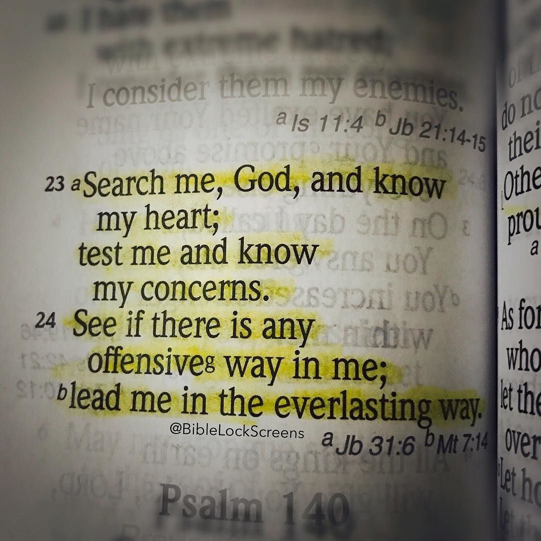 bfcbob's tweet image. Begin with me.