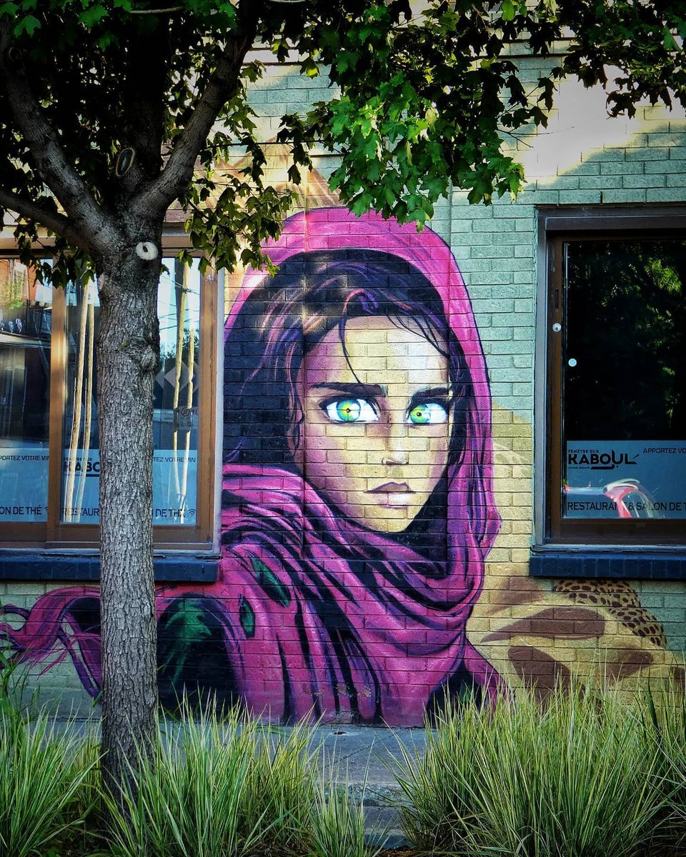 Montreal's tweet photo. How lucky we are to have an open-air art gallery! 😍💜
📷 teddiefreddie / patricia.lamothe / marcm514 / sarhuzarski
🎨 Jest (The Moon Guy)  / Leif / Julian Palma / cryote.pup + Waxhead / Julian Palma 
#murals #streetart #MTL https://t.co/ih3dpAlURU