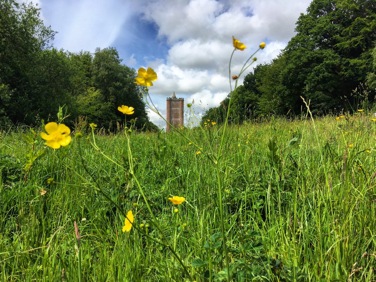 TracyBa55782000's tweet photo. Loop the loop walkies with me parents #kingalfredstower to #stourhead #andback #loopwalk #outdoors #beautiful #life #views #lush #stormhour #earthhour #lovelyday β€οΈ https://t.co/dNl2EHXDLJ