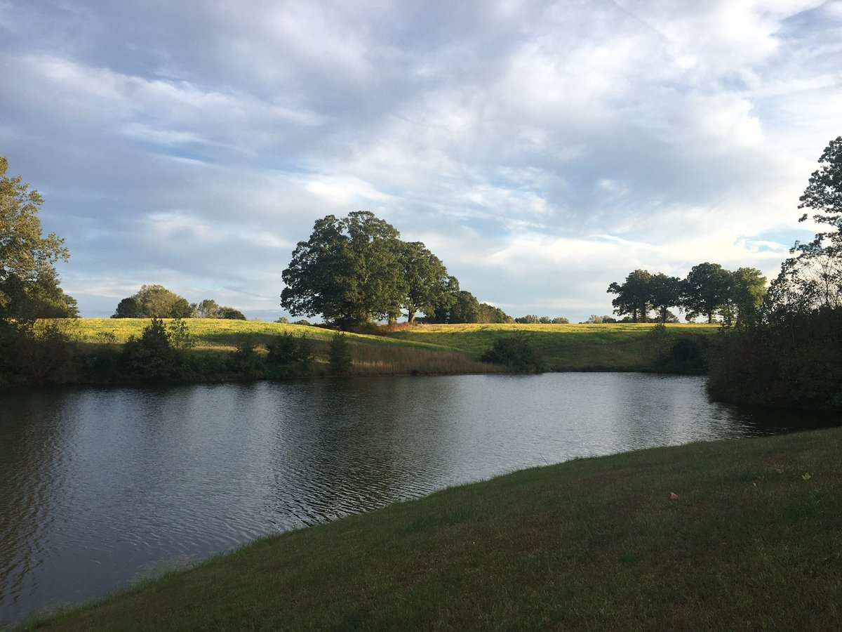 Jason C. Harris tweet media