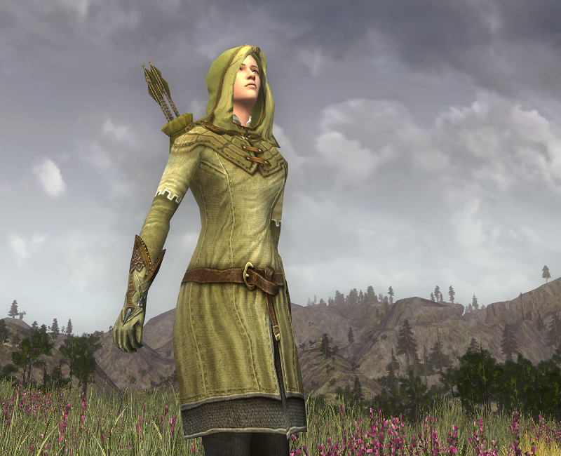 CosmeticLotro's tweet photo. A friend gave me a little nudge and I realized it was time to activate my screenshot button and post something to my blog again. Sharing a very simple traveller's outfit that I currently use for my elf. #lotro #lotrocosmetics #lotrofamily https://t.co/qga7iaPGty https://t.co/I7gp930VQ8