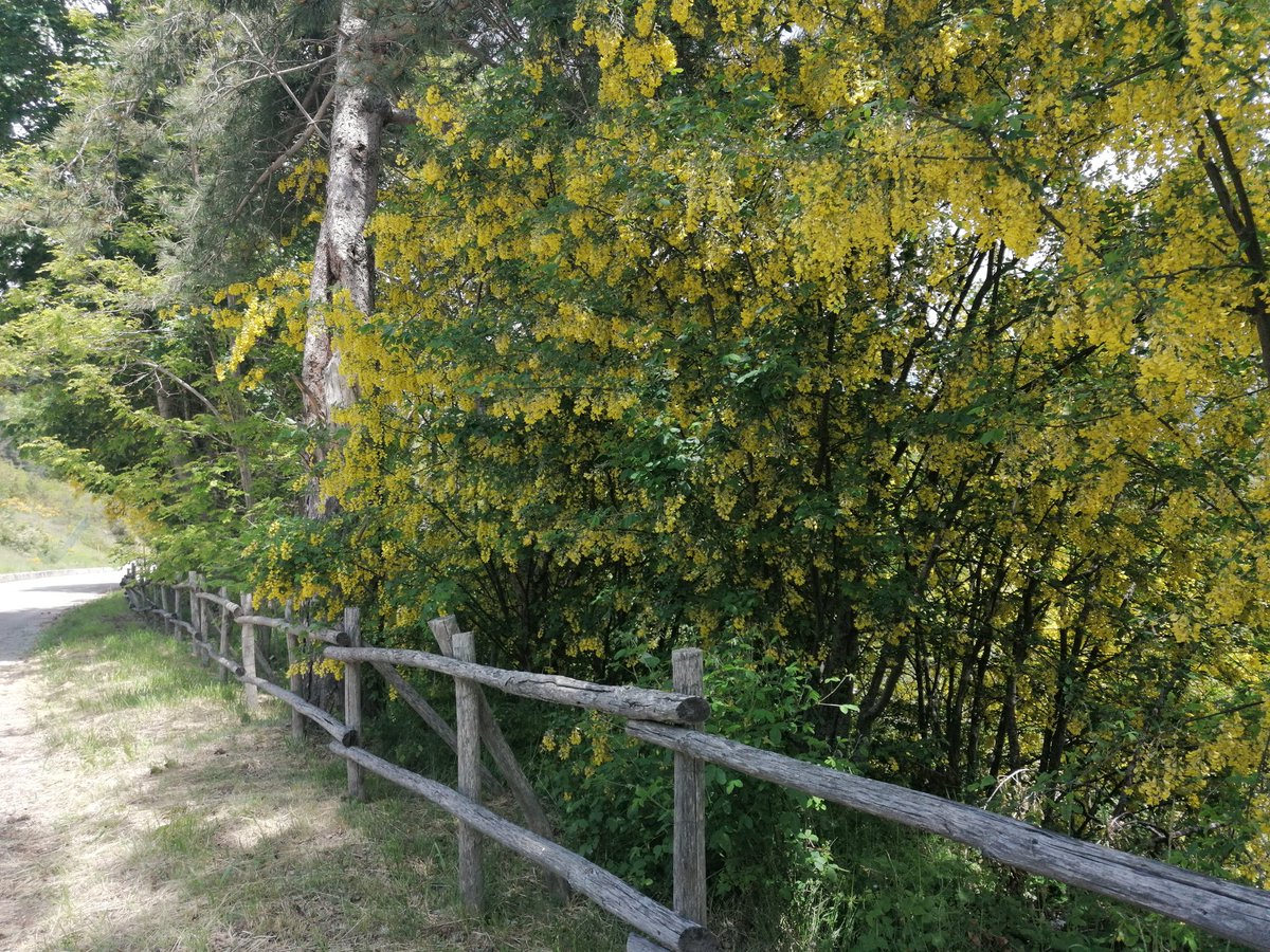 ARP_2016's tweet photo. I colori del nostro lago! Anche qui si ricomincia! #Campotosto #poggiocancelli https://t.co/hHHKOXGqny
