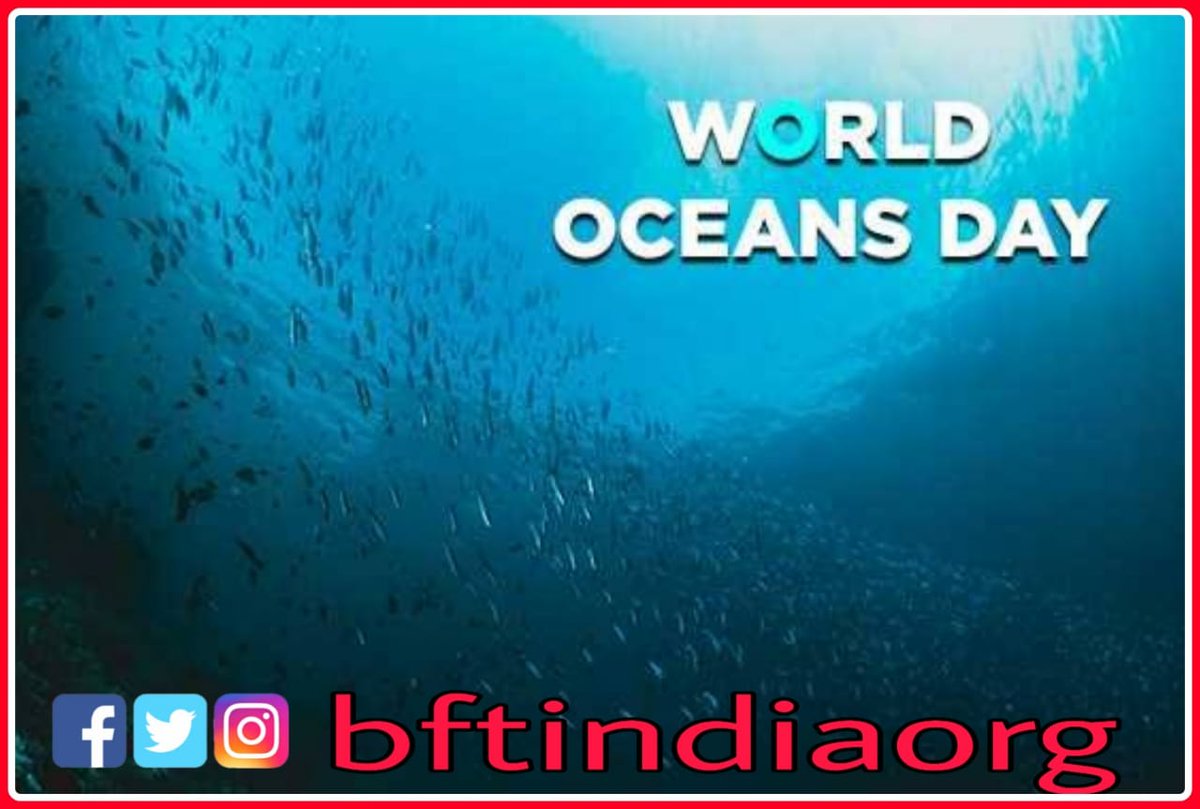 bftindiaorg's tweet photo. June 8 is World Oceans Day, the United Nations day for celebrating the role of the oceans in our everyday life and inspiring action to protect the ocean and sustainably use marine resources... https://t.co/PHD9lUHhwu