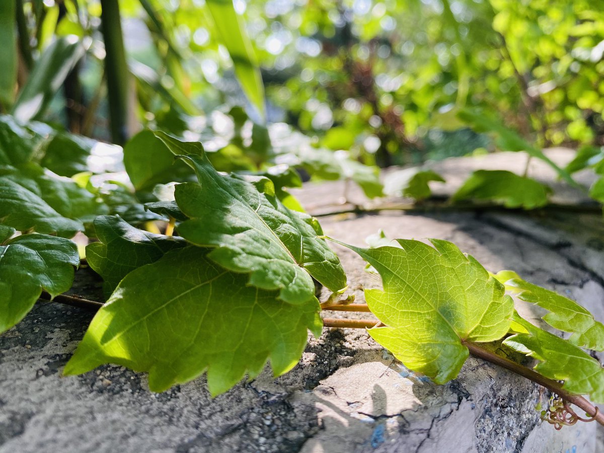 1. 일정한 시간에 일어난다.
2. 아침에 일어나면 햇살을 받는다
3. 아침에는 식사를 한다.
4. 낮에 활동을 많이 한다.
5. 체온을 의식한다.
6. 밤에는 강한 빛을 받지 않는다.
7. 규칙적인 생활을 의식화한다.
- ‘숙면의 모든 것’에서