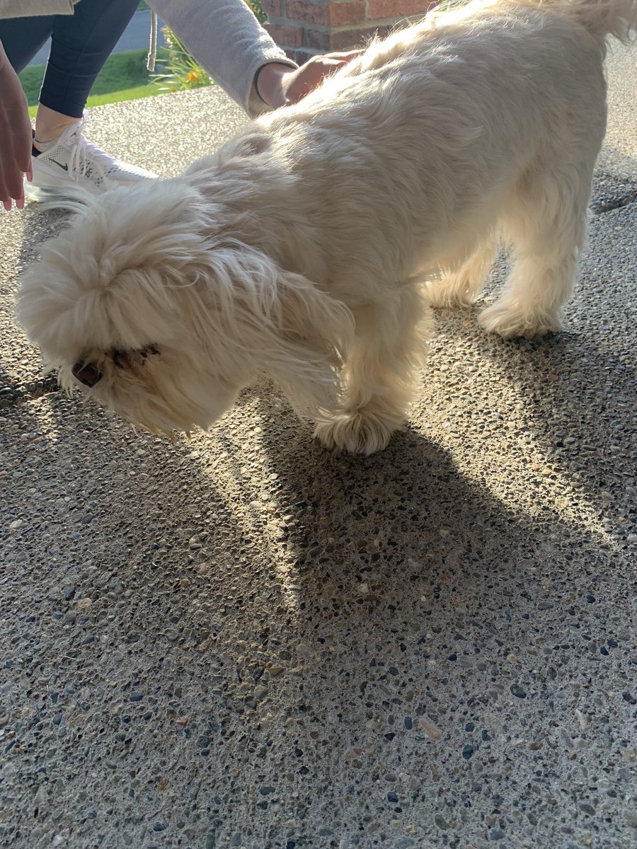 Tumwater Volleyball tweet media