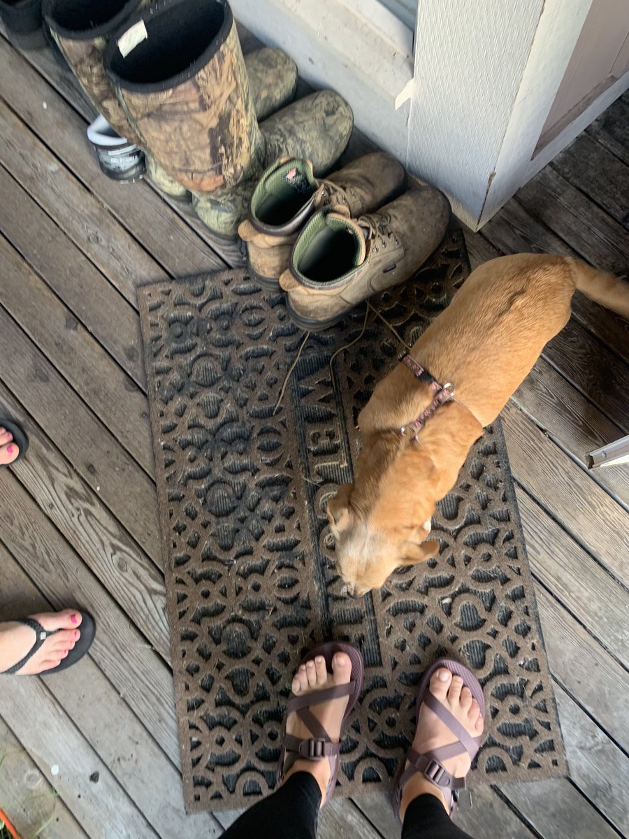 Tumwater Volleyball tweet media