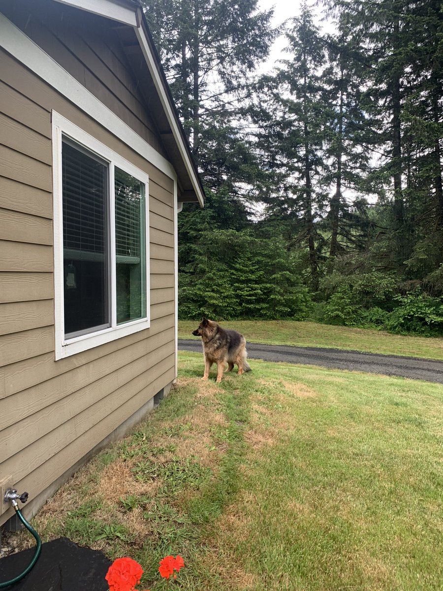 Tumwater Volleyball tweet media