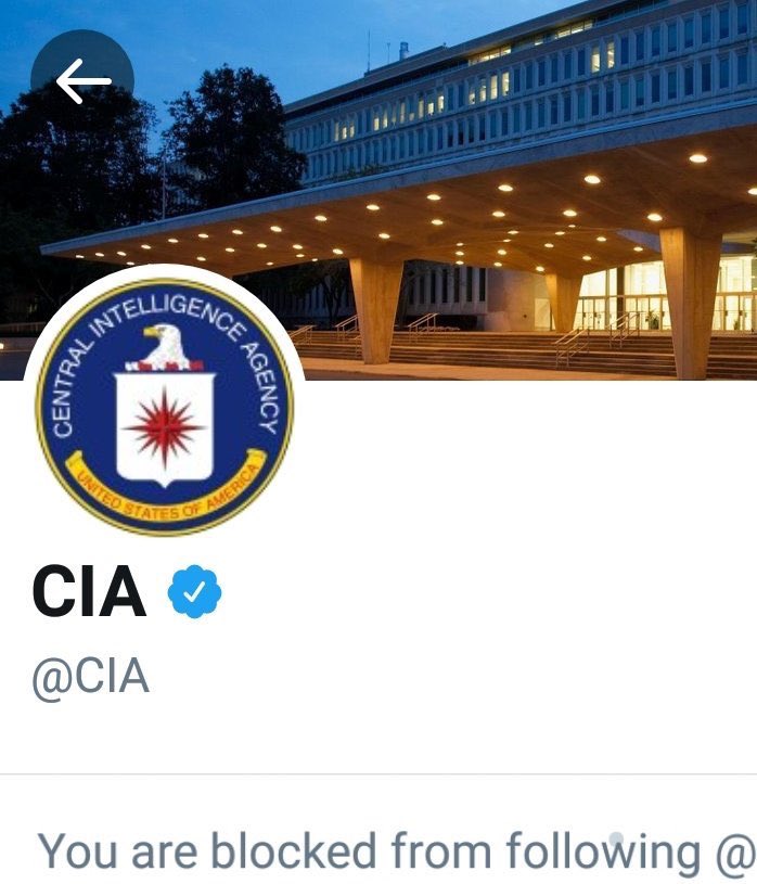 The Updog Podcast tweet media