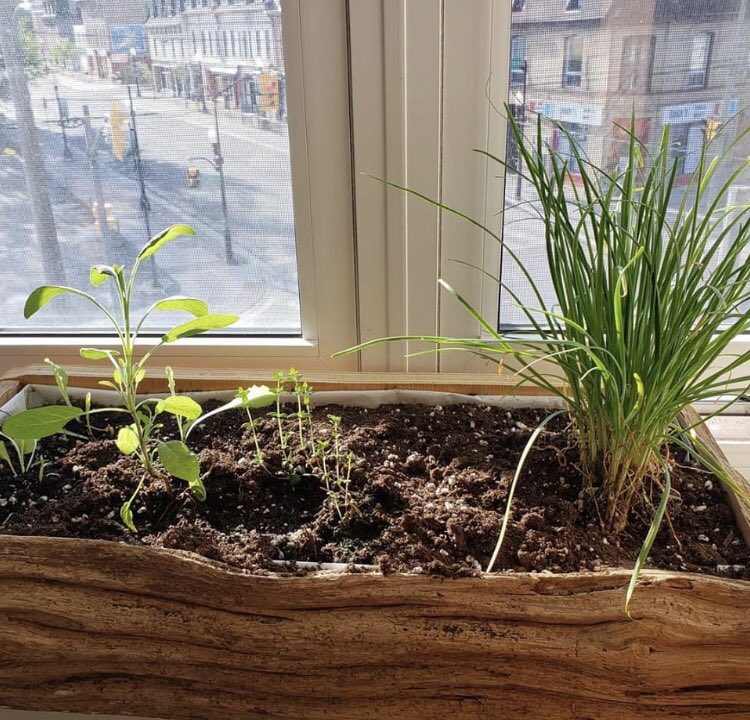 Ashburnham Realty tweet media