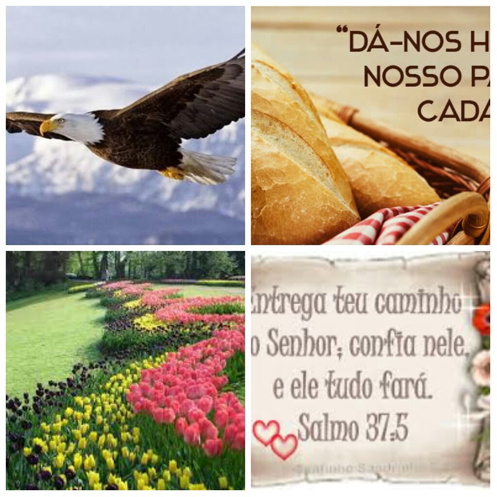Paulo97813048's tweet photo. #Testemunho #HojeJesus #NovoDia #AutoAmorJesus #Vida #LuzGn1_3_2Cor4_6
"Então cuspiram-lhe no rosto e lhe davam punhadas, e outros o esbofeteavam *" mt 26:67s .@Rozane_Costa @RosaMar14112784 @Jssica55272746 #viver #soupertençaDele #souPrimeiroDeleAmor https://t.co/AaGaL0cVoC