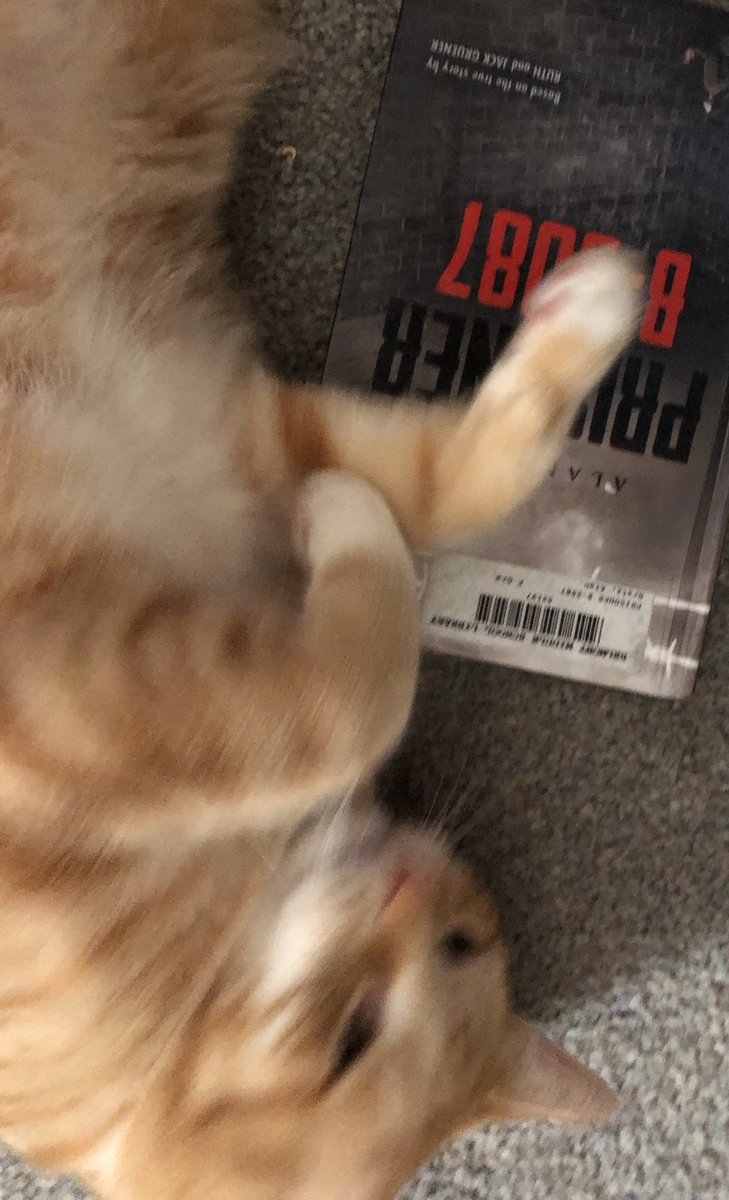 bms_media's tweet photo. Morris says “don’t forget to bring your library books back to school!” https://t.co/lvqiWZeN2I