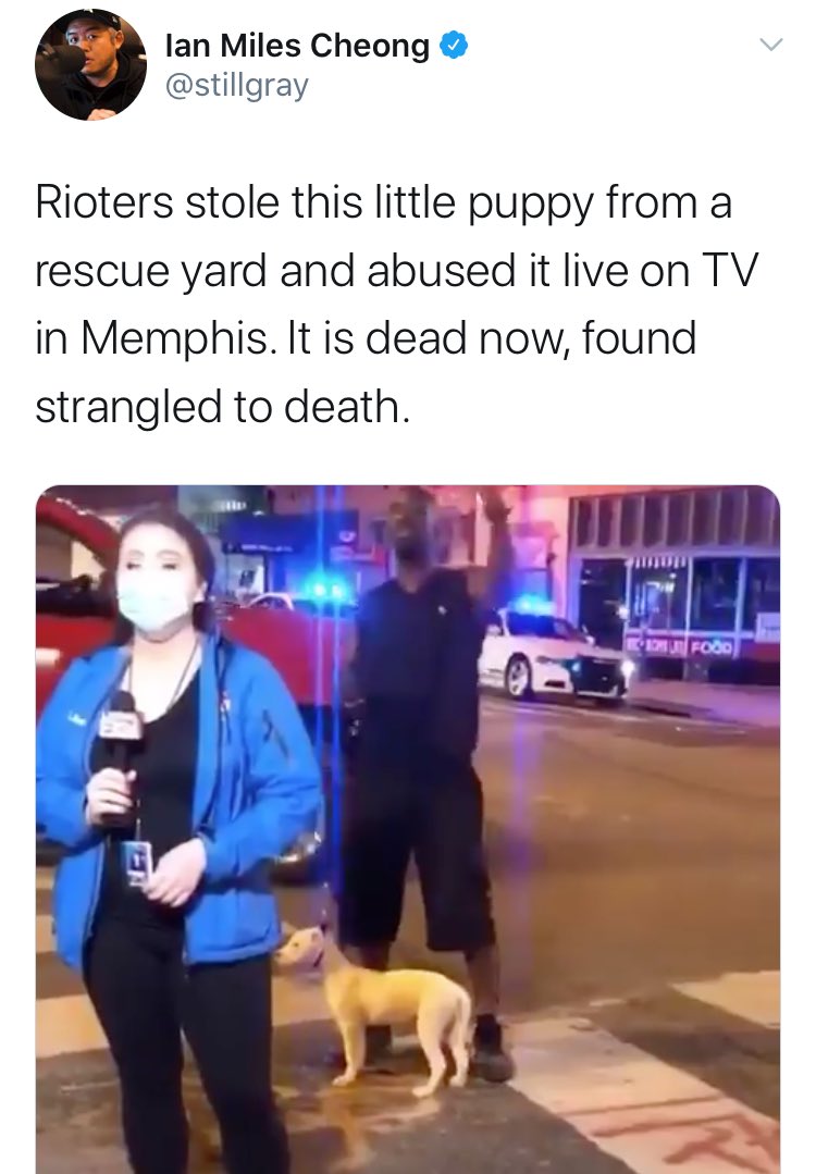 RationalDis's tweet image. Ian lied about a guy killing a dog, incited people to "bounty hunt" him, &amp;amp; threatened the guys life.

The dog is alive &amp;amp; Ian hasn't deleted any of these.