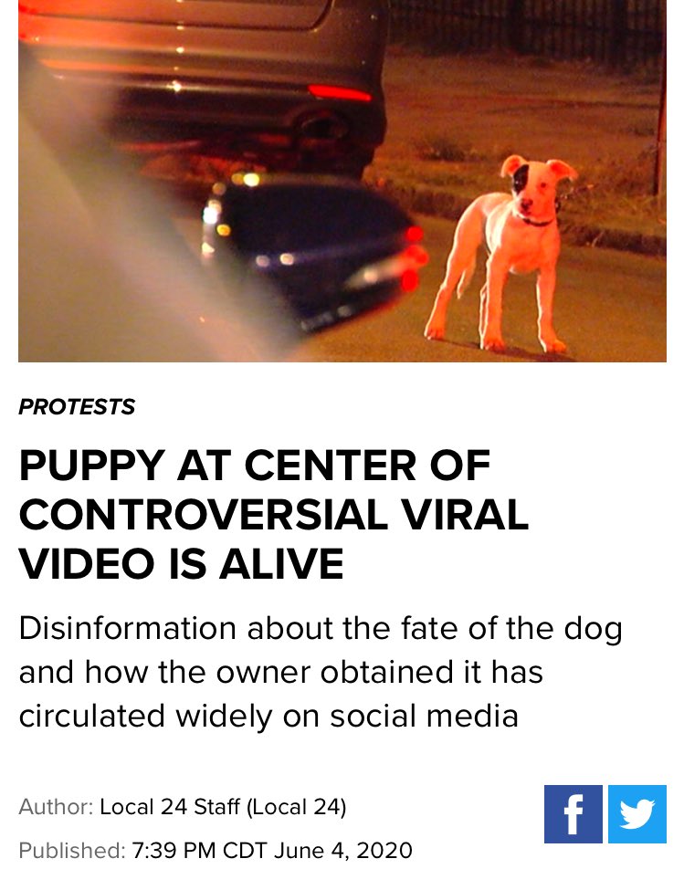 RationalDis's tweet image. Ian lied about a guy killing a dog, incited people to "bounty hunt" him, &amp;amp; threatened the guys life.

The dog is alive &amp;amp; Ian hasn't deleted any of these.