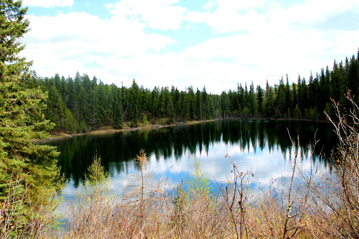 What hides beneath the still waters? 😮🤔🏞

#nature #lake #reflection #exploreCanada #exploreSask #sasktrails #pinetreees #borealforest #hiking #beautiful #naturephotography #landscape #landscapephotography #bluesky #stillwaters #anythingcouldbeunderthere.... #letsgoswimming!