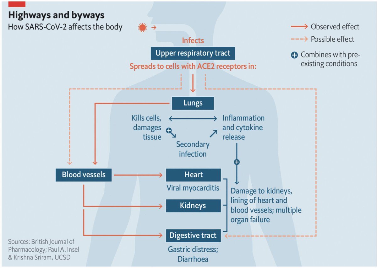 схема ковида. алгоритм печенье. схема лечения коронавируса. схема ковида. схема ковида.