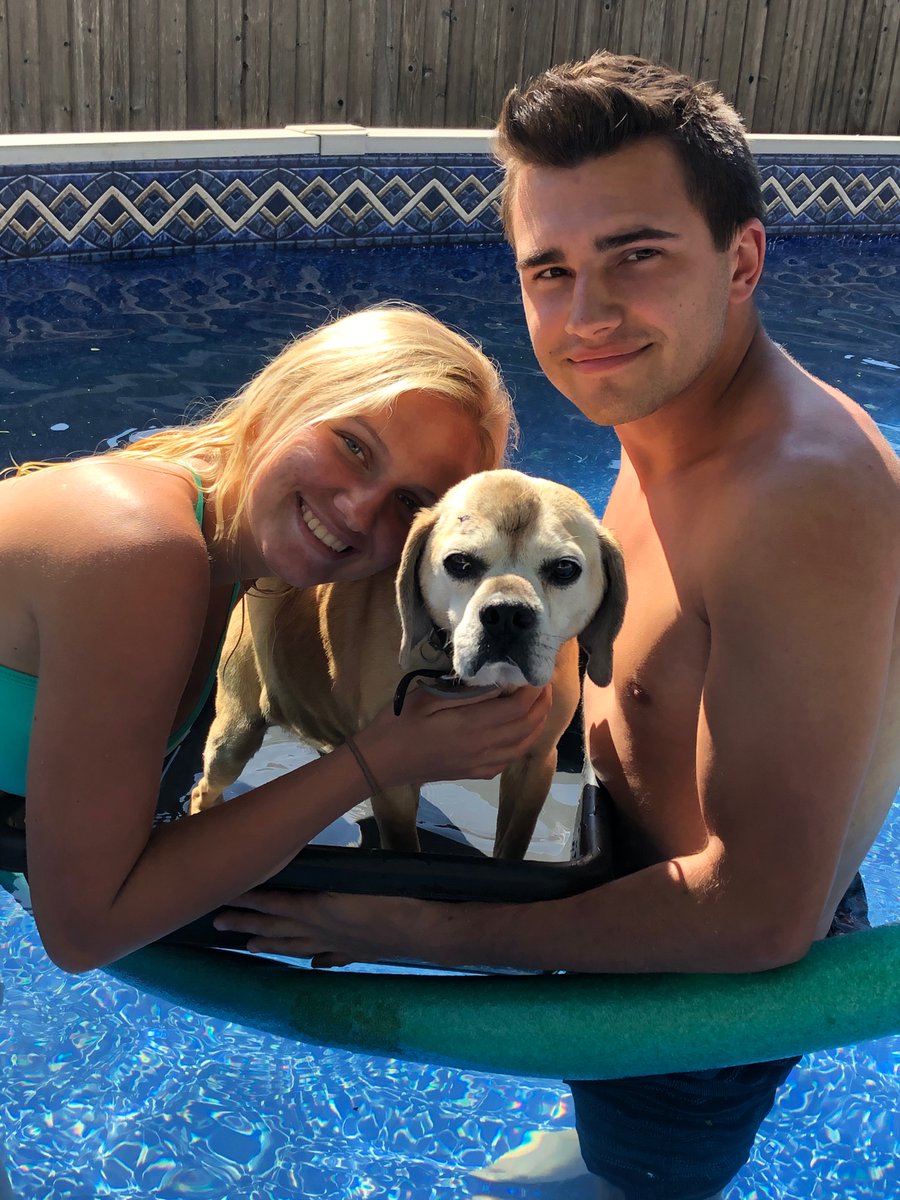 AmyLS69's tweet photo. Summer COVID lockdown at home. #newliner @ChloeSchaafsma https://t.co/fNOpxZWubM