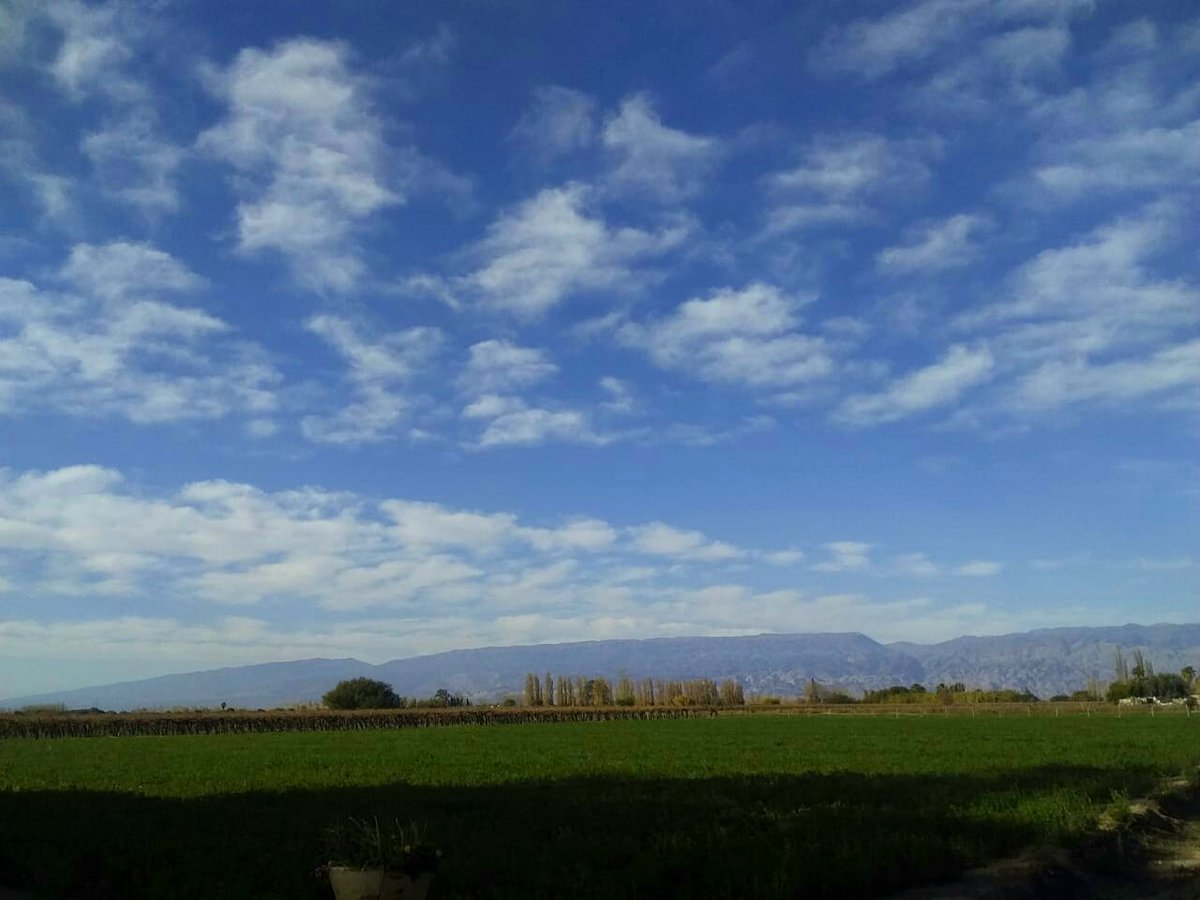 Alelitasanju's tweet image. Mirá como estuvo mi domingo 😍 #SanJuan #Angaco #SanMartin