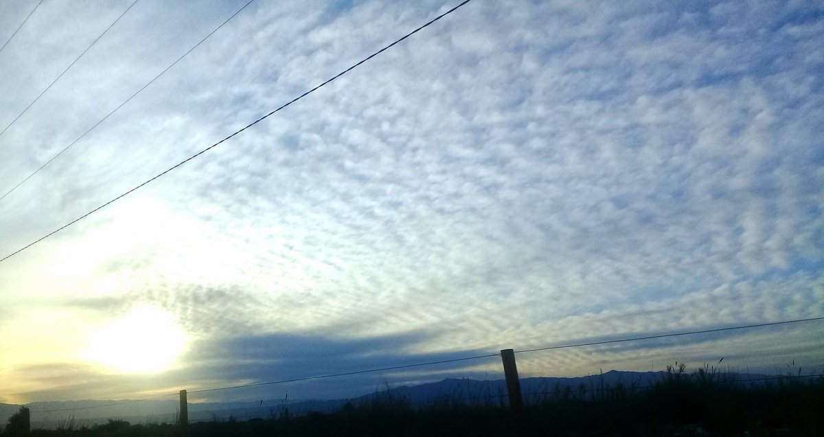 Alelitasanju's tweet image. Mirá como estuvo mi domingo 😍 #SanJuan #Angaco #SanMartin